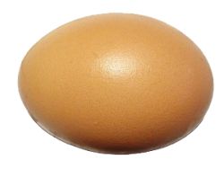 jajko